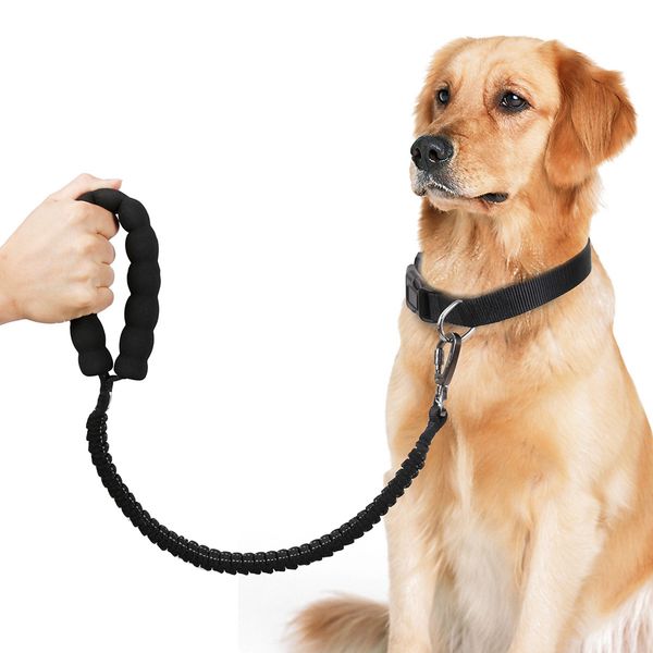 

buffer bungee dog leash pet anti shock dog leash for medium large dog