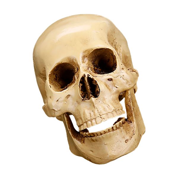 

gothic replica carving model skull figurine human head medical model decor