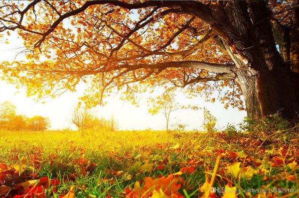 

custom wallpapers beautiful scenery wallpapers custom any size 3d autumn leaves maple leaves autumn leaves twilight scenery background wall