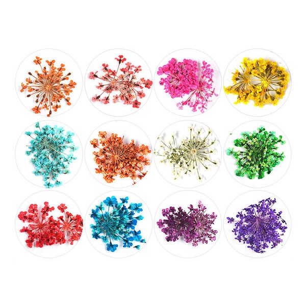 

12 grid dried flower nail art rhinestones kit multicolor nail art decorations qq99, Silver;gold
