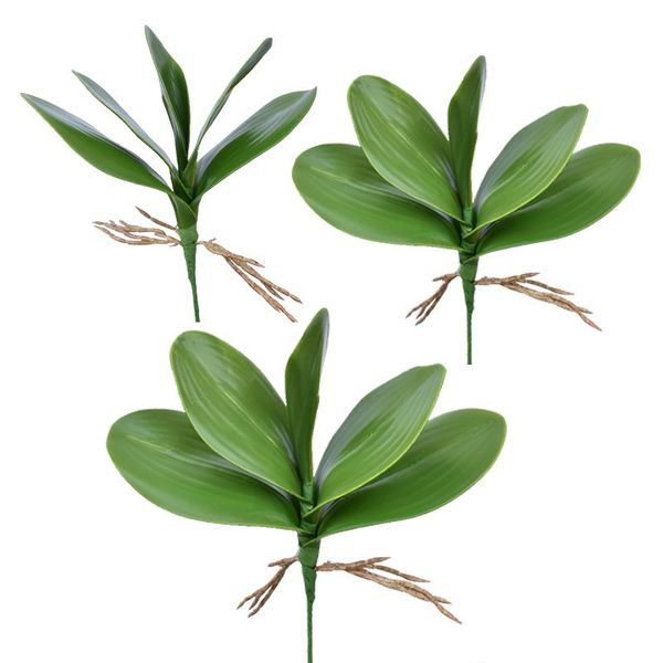 

artificial flower, leaves of phalaenopsis (moth orchid), leaf / green (green) / 1 bundle