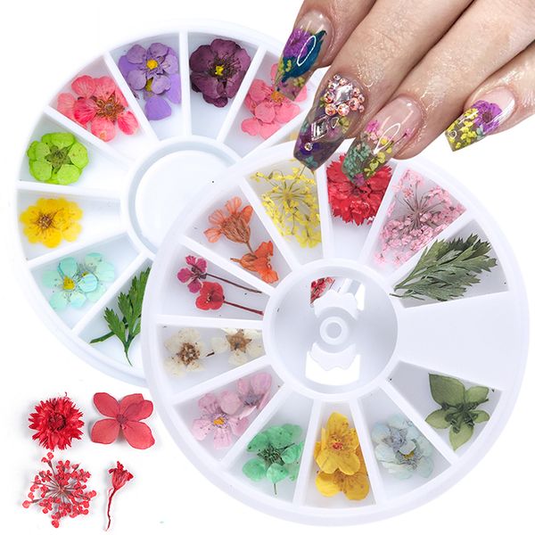 

12 types 3d dried flowers nail art decoration diy beauty petal floral decal sticker dry flower gel polish accessories, Silver;gold