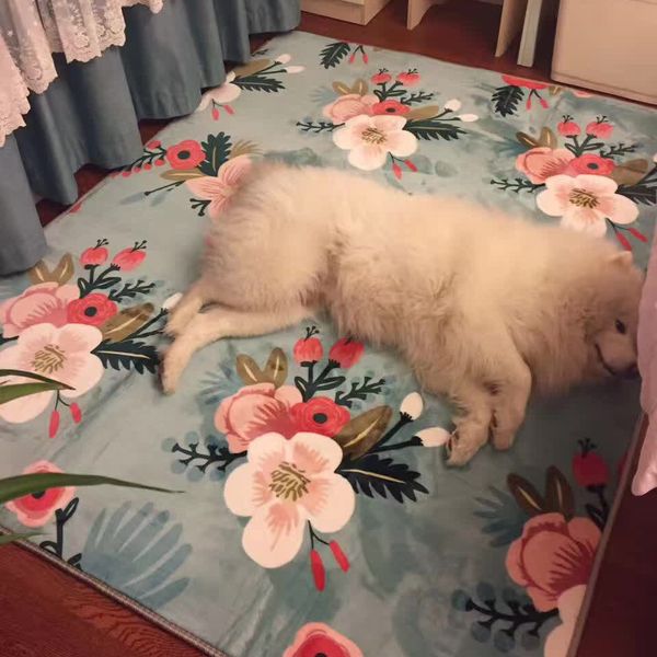 

child crawl mat/carpets for living room study room bedroom coffee table big size carpet bay window home large area rectangle rug
