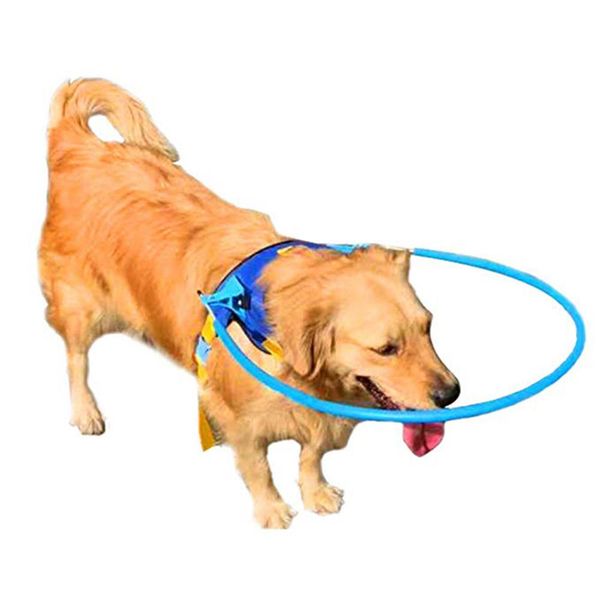 

tpfocus new pet dog collar anti blind pet anti-collision ring cataract animal protection circle guide dog harness protection
