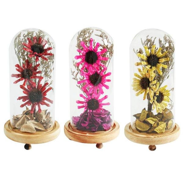 

birthday gift sesame flower in glass dome on a wooden base window decor