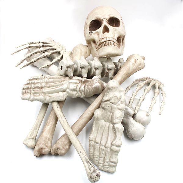 New 9 12 Halloween Skeleton Skull Hand Life Body Anatomy Model