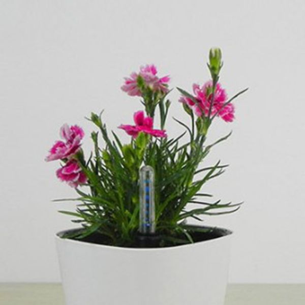 

4 pieces water level indicator for potted plants flowers - 34cm