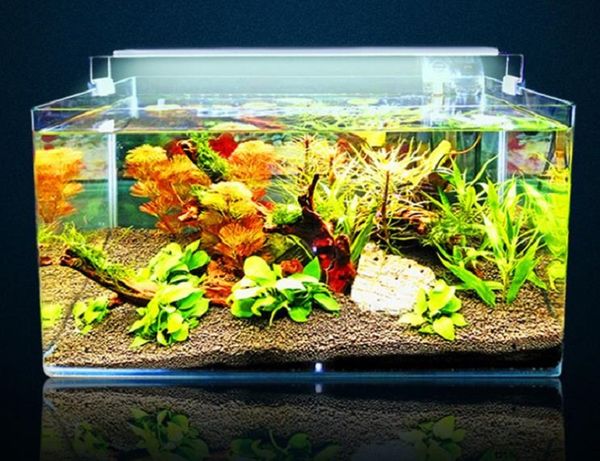 Peixes suporte da lâmpada tanque lâmpada de diodo emissor de luz da lâmpada aquário titular planta água ultra fino destaque tanque de vidro claro