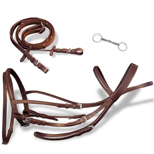 

flash bridle reins and with ear brown leather cap common tools