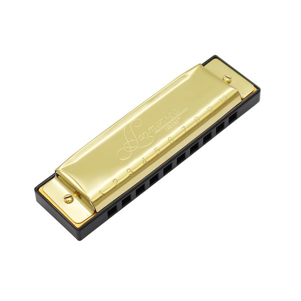

10 holes 20 tones professional blues harmonica with box cleaning cloth parts