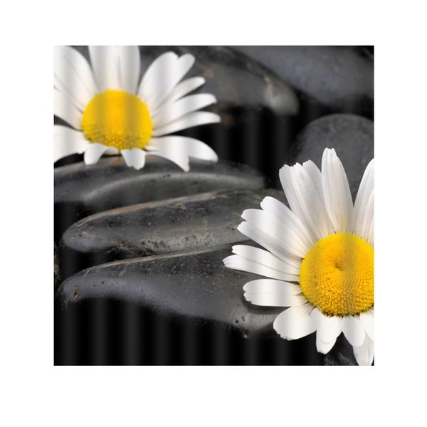 

home decor polyester square hanging bathroom shower curtain 180x180cm