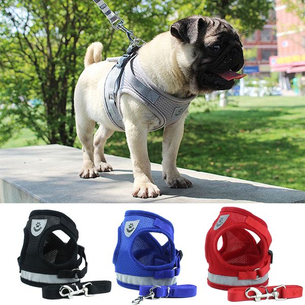 

4 colors breathable mesh small dog pet harness and leash set pet lead tools training collars dog pet supplies