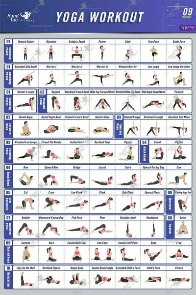 Full Bodybuilding Workout Chart
