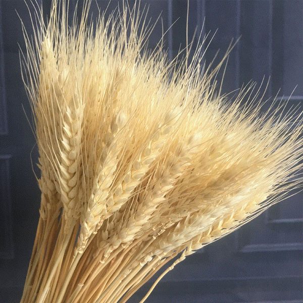

100pcs artificial plants wheat dried flowers bouquet simulation silk cloth plant pgraphy props home garden store decoration