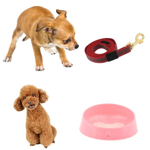 

dog puppy training correction leash pet outdoor walking nylon rope cord+pet bowl