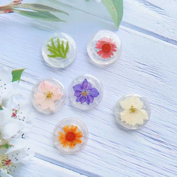 Flower Clear Resin Dried Pressed Phone Stand Foldable Air Cushion Phone Grip Real Flower Desktop Phone Holder for Smartphones J260907
