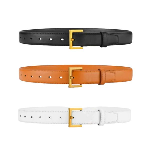 

YS L designer BeltsY SL Belts Y S L Belts beltliness designer belt womens needle buckle thin waistband leather fashion 3 0 cm wide high quality mens I3ZW, 6_color