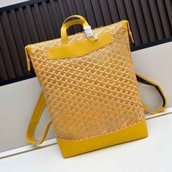 Designer Handbags Fashionable Casual Backpacks Outdoor Sports Large Capacity Laptop Bags Travel backpack