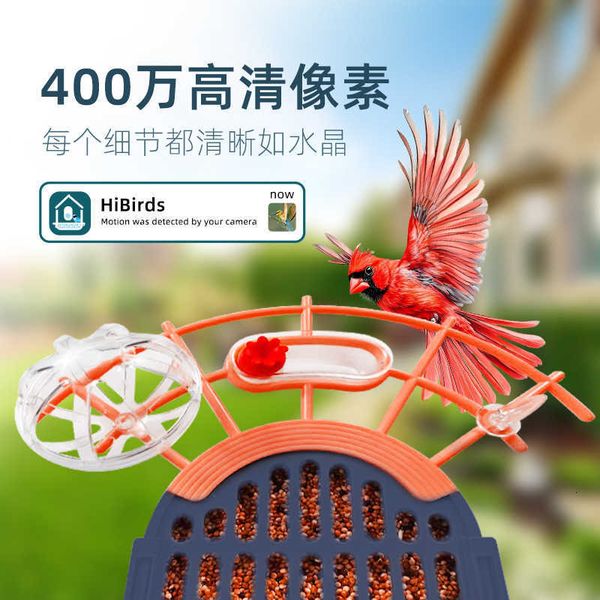 solar-powered Bird feeder camera hummingbird visual remote control pet smart J260822