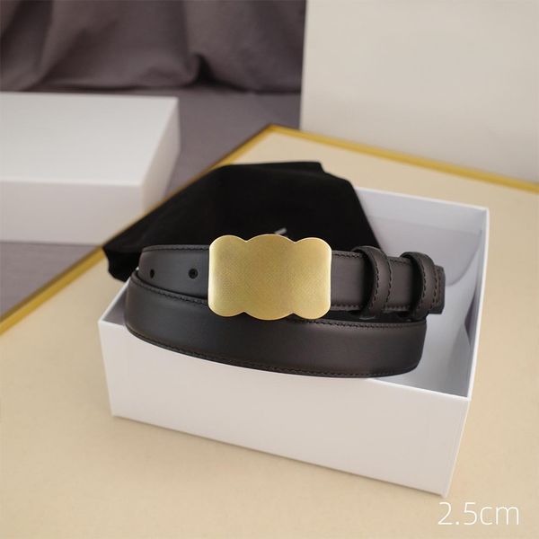 

Designer Cowhide Belt Stylish Womens Leather Belts Width 2.5CM Fashion Smooth Buckle 6 Options, G3