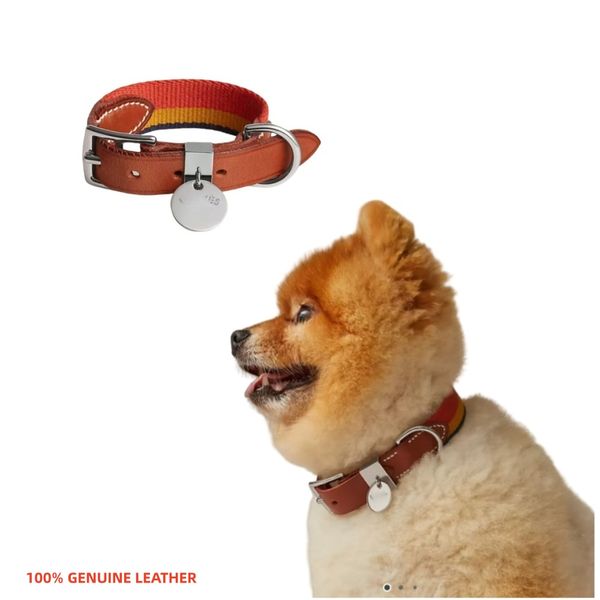 

Designer Luxury Elegant Genuine Leather Dog Collar Luxury Pet Collar With Gift Box For Small Medium Dogs 10A Wholesale, Orange