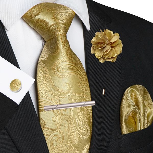Men Ties Paisley Woven Necktie Set Pocket Square Cufflinks Brooch Tie Clip for Wedding Party Groom Accessories Gift 5PCS 260409BJ