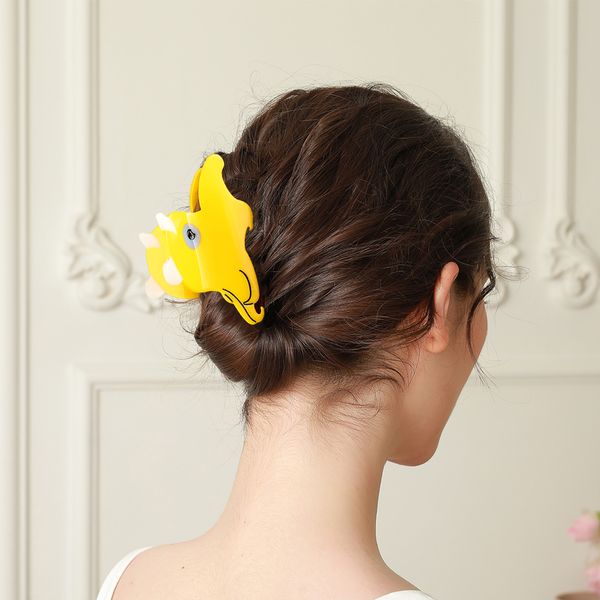 

New quirky back of the head acetate headdress hair accessories hair clips bangs cute ponytail clip