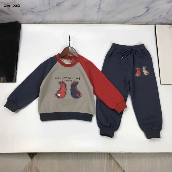

luxury Tracksuits baby autumn Sets kids suit Size -170 CM 2pcs Letter Rabbit Pattern Printed Panel Design Round Neck Sweater and Pants CHG2401199-12, #1