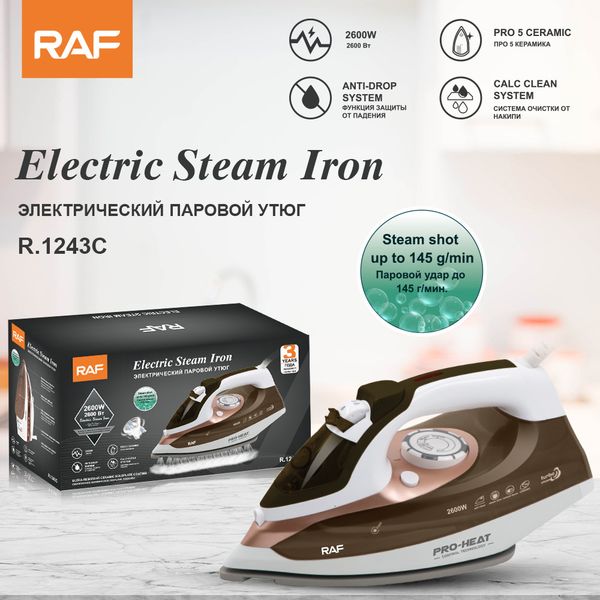 

European standard household steam electric iron handheld mini hanging ironing hine small portable ironing hine R.1243