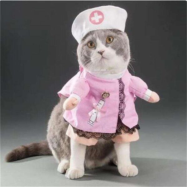 

Funny pets cute cat funny cats and dogs costumes stand up, Beige