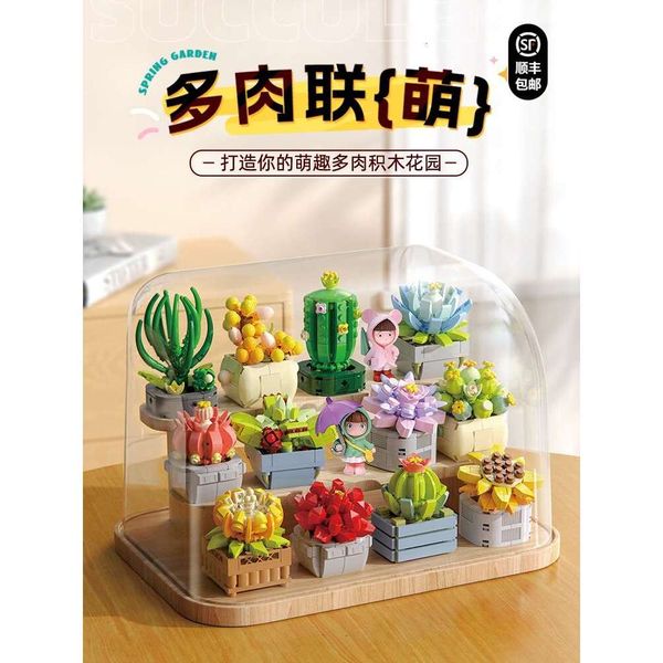

Building Fermi Bloc Succulent Union Cute Simulation wer Pottery DIY Desktop Ornament Assembly Small Toys Teacher's Day Gift, Multicolor
