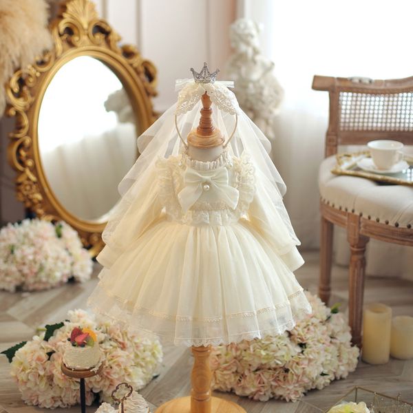 

Girls Autumn and Winter 2024 New Fleece Dress Baby Dress One Year Old Dress Pompous Gauze Princess Dress, White fleece