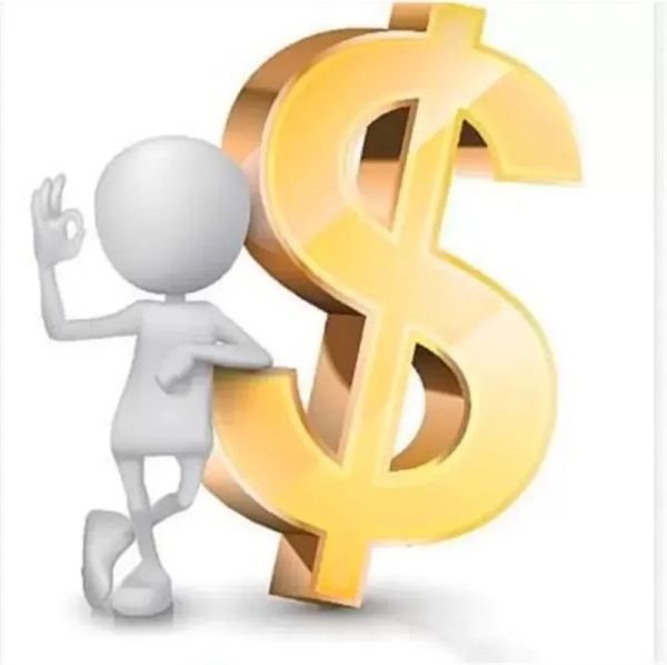 

Hair Dryer straightener Hiar Curler channels for VIP customers beauty Store hair straighteners Fast payment k, Silver