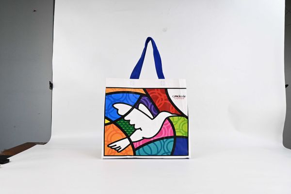

designer tote bag Biodegradable Shopping Bags Reusable Non Woven Bag, Multi-color