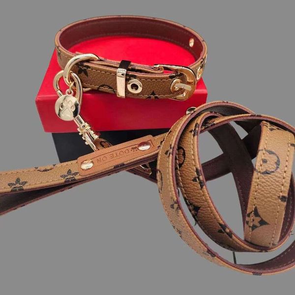 

Designer Leash Set: Adjustable Dog Walking Set, Durable Pet Neck Collar, Blue