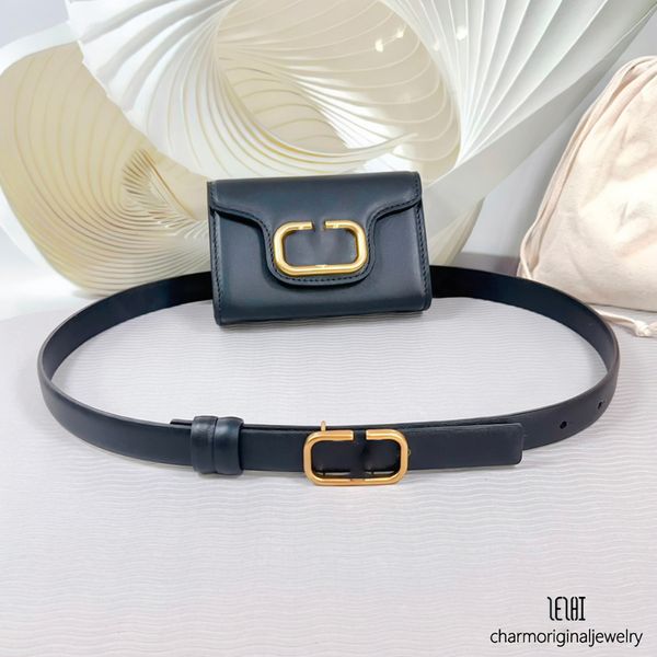 

designer belt womens belt fashion designer women vintage simple with skirt dress decorative suit pants tucked waist belt locking buckle belts ceinture luxe, As shown in the figure