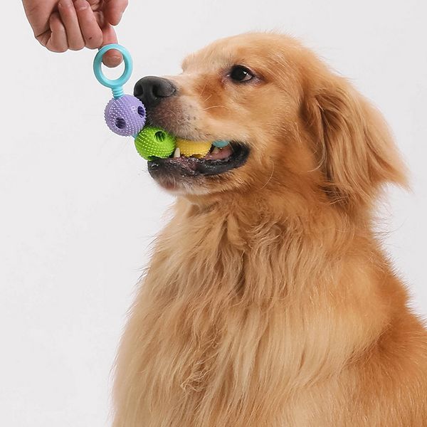 

new Dog Teeth Grinding Stick Toy, Self Hi Relieving Tool, Medium sized Dog Pet Supplies, Anti Bite Adhesive