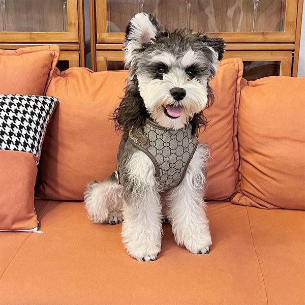 

Dog Collar Traction Rope Adjustable Dogs Cats Harnesses Leashes Collars Set Hairless Cat Schnauzer, Black