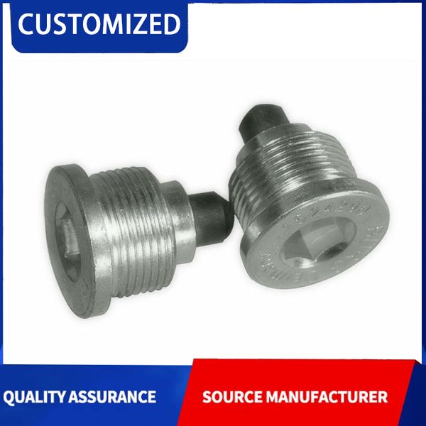 

Factory direct high quality auto parts customized wholesale service hexagonal magnetic oil plugs