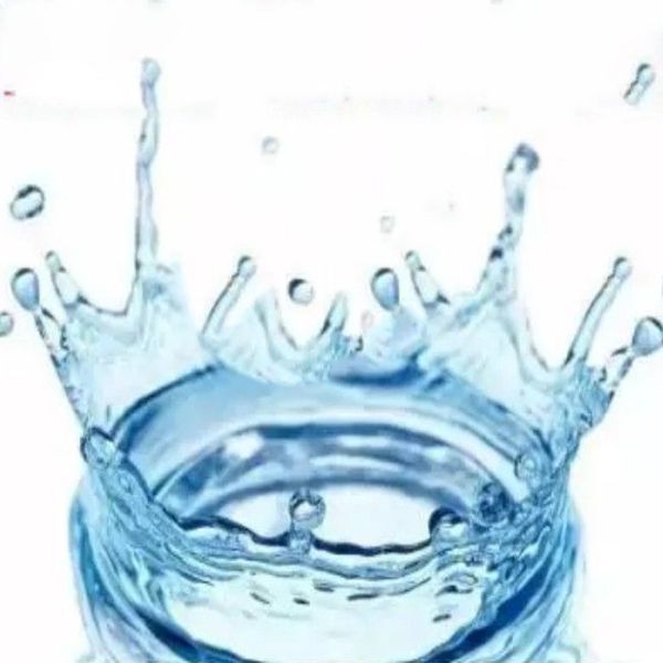 

gold watch band luxury watches VIp Box sapphire waterproof ring diamond bezel