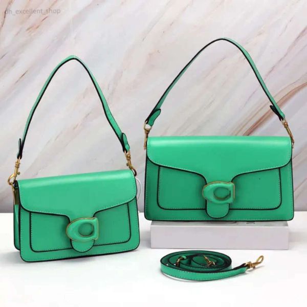 

coaches bag tabby Designers Bags Tote Bag Women Men Luxury Waist Cross Body Handbag Famous Fashion Shoulder Classic Brown353, Blue