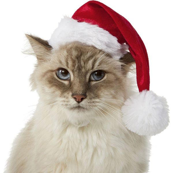 Frisco Holiday Dog & Cat Santa Hat, 1 count