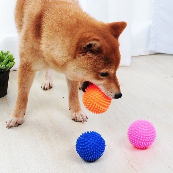 

Dog toys that are resistant to biting and grinding teeth accompany dogs to attract their attention, making them the perfect gift for pets, Multi