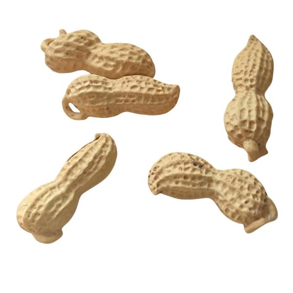 

Yellow Poplar Flower Handmade Pendant, Hand Carved, Do Not Shoot If Not Enjoyed