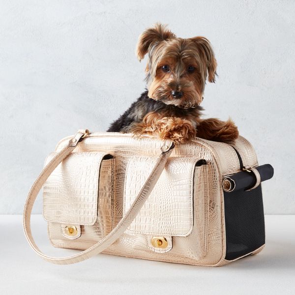 

High quality designer unisex hot selling PU waterproof pet bag for outdoor use portable cat bag car carrying dog portable outdoor cat bag, Gold