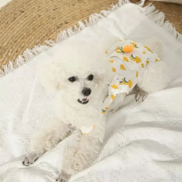 Pet Dog Physiological Pants Diaper Washable Short Panties Kitten Post-operative Care Underwear Briefs Dogs Sanitary Supplies