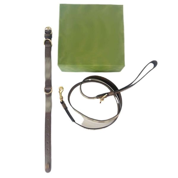 

Instagram Pet Supplies Bull Leather Belgton West Highland Collar Gold Hair , Medium, And Small Dog Leash, Beige