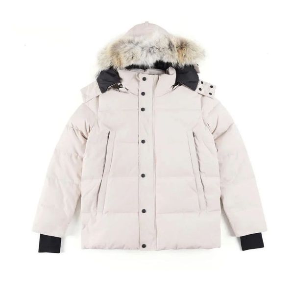

mens winter jacket puffer jacket designer down jacket winterjacke jackets brandclothesnice1 womens Sport coat High quality, Style 7