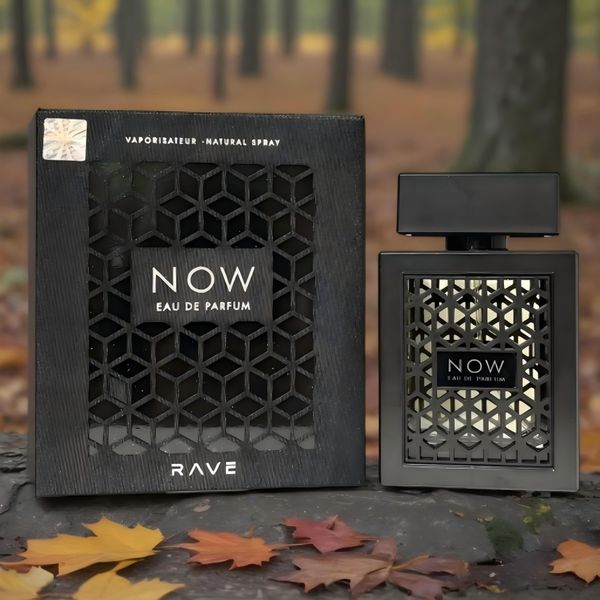 

Classic Black Arabian perfume Unisex Alcohol Free Lasting perfume Suitable for Daily Use -100ml (3.4oz) Date Gift Christmas Gift Halloween Gift