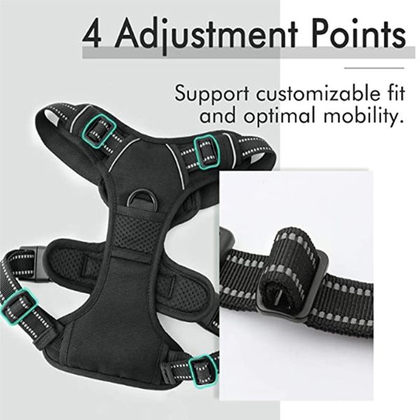 

Enhanced Airflow Pet Harness with Safety Features for Leash-Walking Enthusiasts, Rose red
